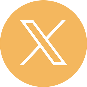 x logo